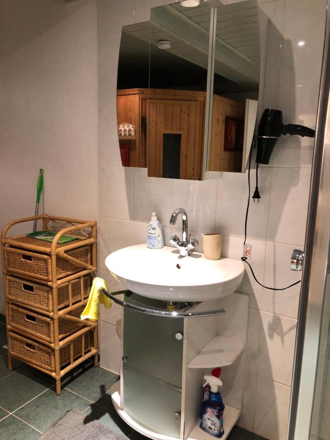 Ferienwohnung Nationalpark Eifel Nideggen Sauna מראה חיצוני תמונה